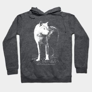 white wolf - grandmother wolf Hoodie